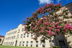 科学研究費助成事業（文部科学省・日本学術振興会）