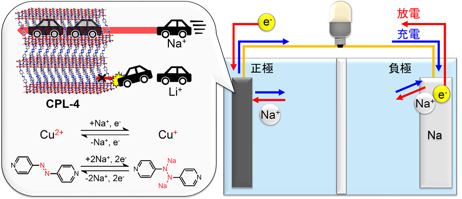 ■参考図■　SIBの模式図。CPL-4正極におけるイオン挿入を、車庫（CPL-4）に入る車（ナトリウムイオンまたはリチウムイオン）で表現。ナトリウムイオンはCPL-4の空孔をスムーズに通過できるのに対し、リチウムイオンは空孔を通過できず、CPL-4の前で渋滞する。