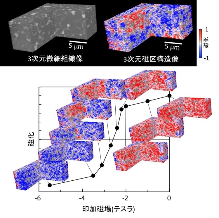 図2 先端永久磁石材料を用いた3次元磁区構造の観察結果。(上段) 同一観察領域における3次元の微細組織像(左)と磁区構造像(右)。(下段) 外部磁場を変化させて磁気ヒステリシスに対応した3次元磁区構造像の変化