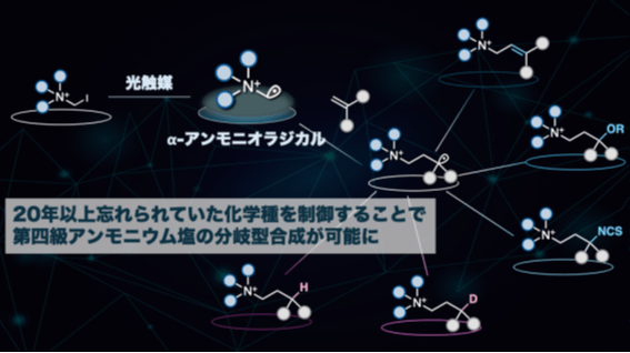図1