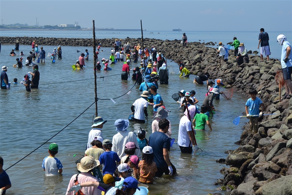 長崎県島原半島での石干見すくい祭りの様子