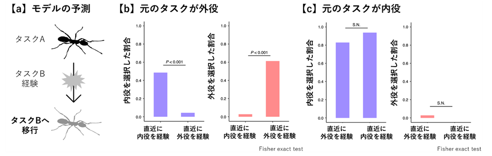 図2. 反応閾値強化モデルの予測と実際に直近の経験がタスク選択に与えた影響 (a)反応閾値強化モデルが正しい場合のタスク選択の予測。(b)元のタスクが外役の働きアリにおける直近の経験とタスク選択の関係。(c) 元のタスクが内役の働きアリにおける直近の経験とタスク選択の関係。