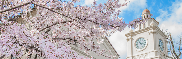 関西学院振興資金