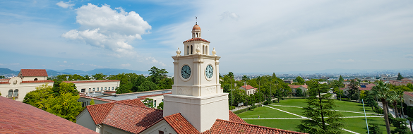 その他の使途指定寄付