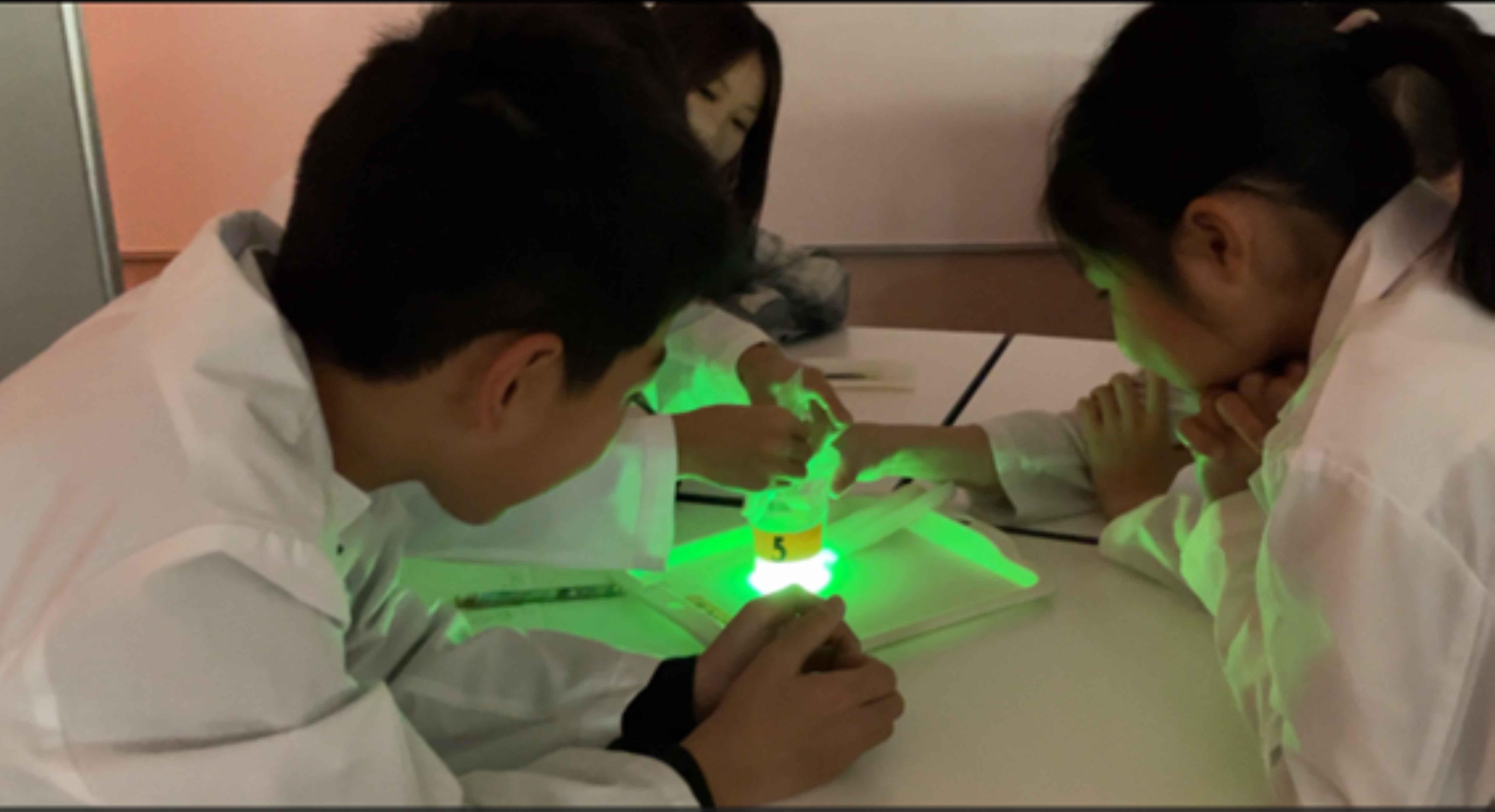 ★★HP（動画より静止画へ）サイリウム光った